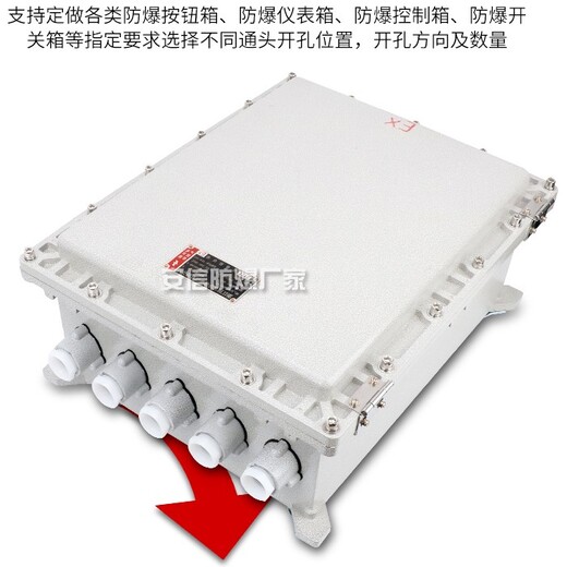 防爆配电箱防爆空气开关BDZ10-100A250A防爆控制箱