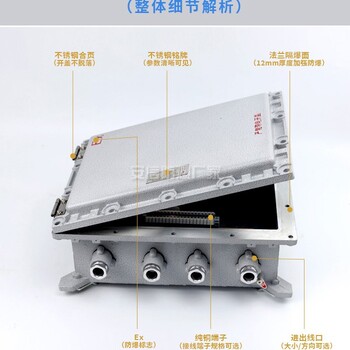 ANSV安信防爆防爆接线箱壳体,隔爆型防爆接线箱300x200防爆箱空箱控制箱配电箱