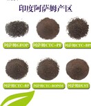 天津奶茶店茶叶供货厂家,奶茶店柠檬茶红茶茶叶图片4