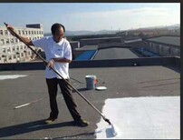 宏牛防水水泥基面屋顶隔热涂料,生产宏牛防水反射隔热防水涂料规格图片0