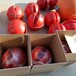 滁州从事玻璃钢警示球市场报价,成品警航球