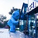 天津不锈钢切面熊雕塑图