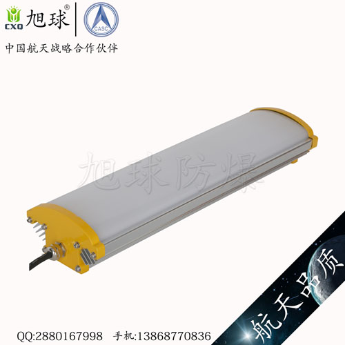XQL8130免維護(hù)LED防爆燈 (2).jpg