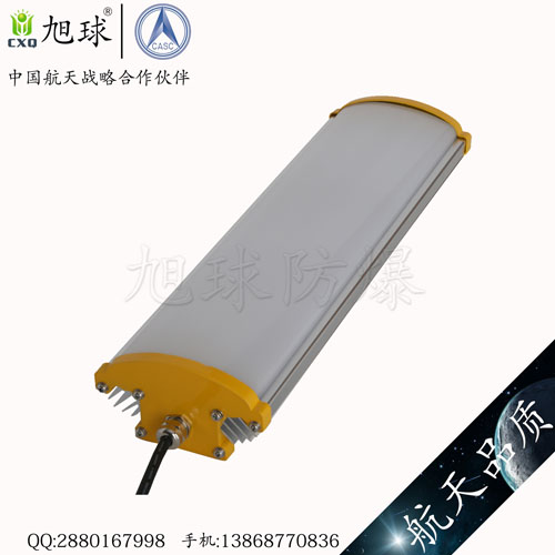 XQL8130免維護(hù)LED防爆燈 (1).jpg