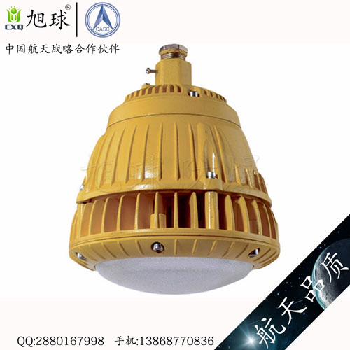 XQL8060免維護(hù)LED防爆燈 (2).jpg