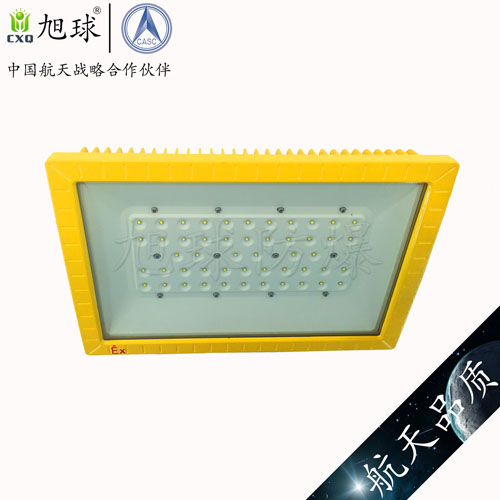 XQL8100免維護(hù)節(jié)能LED防爆燈 (25).jpg