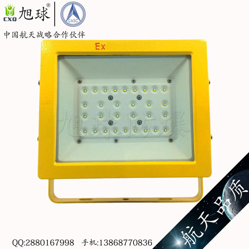 XQL8100免維護(hù)節(jié)能LED防爆燈 (33).jpg