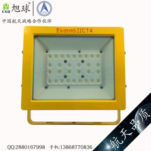 XQL8100免维护节能LED防爆灯 (21).jpg