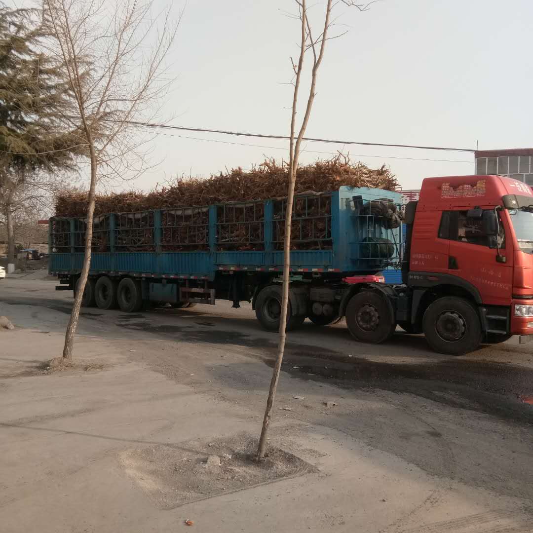 圖片_206.jpg