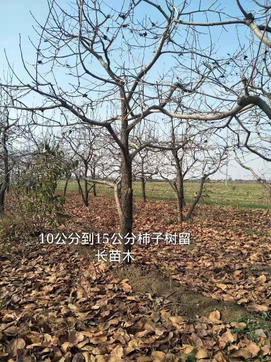 圖片_208.jpg