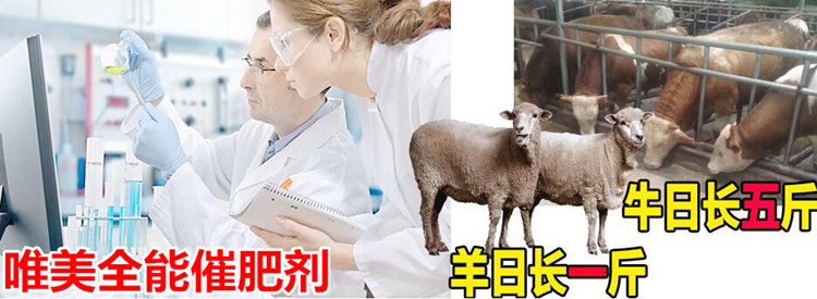 圖片200.jpg