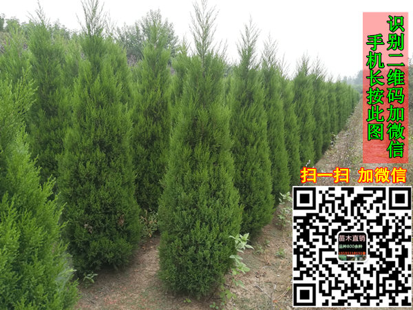 圖片_202_副本009.jpg