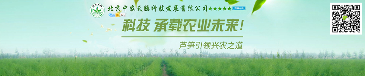 蘆筍興農(nóng)之道1200x250.jpg
