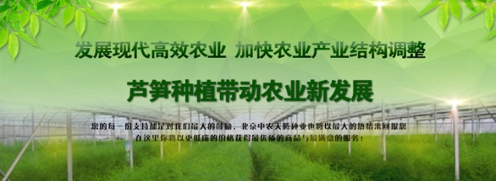 發(fā)展現(xiàn)代農(nóng)業(yè)800.jpg