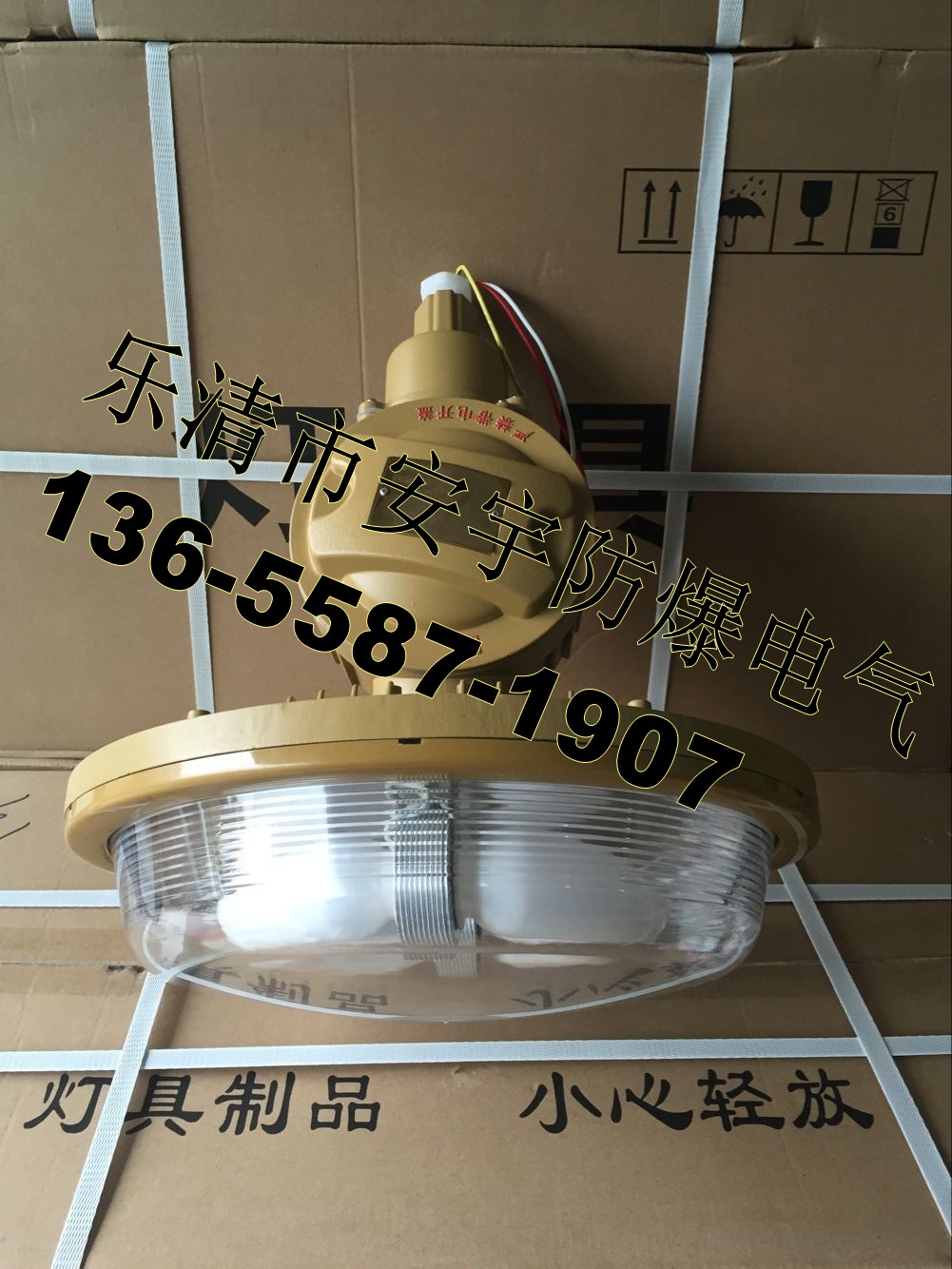圖片21_conew1.jpg