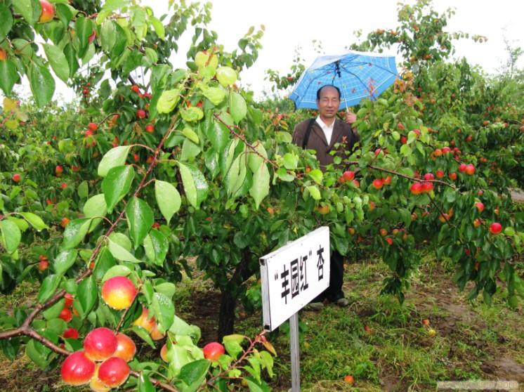 陕西丰源县