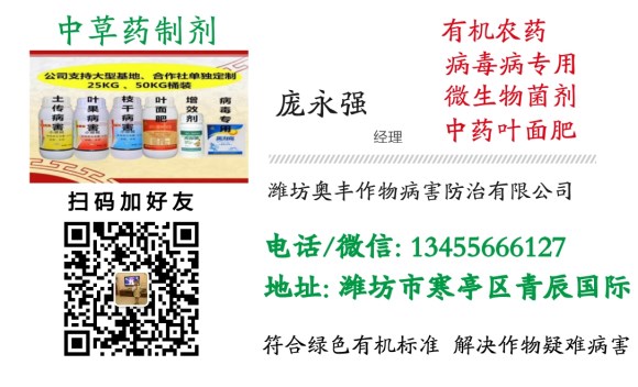 65896.jpg 圖幫主_1148627_2518247_副本.jpg