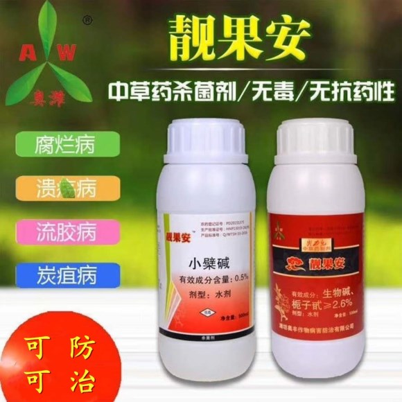 08753.jpg 微信圖片_202_副本_副本_副本.jpg