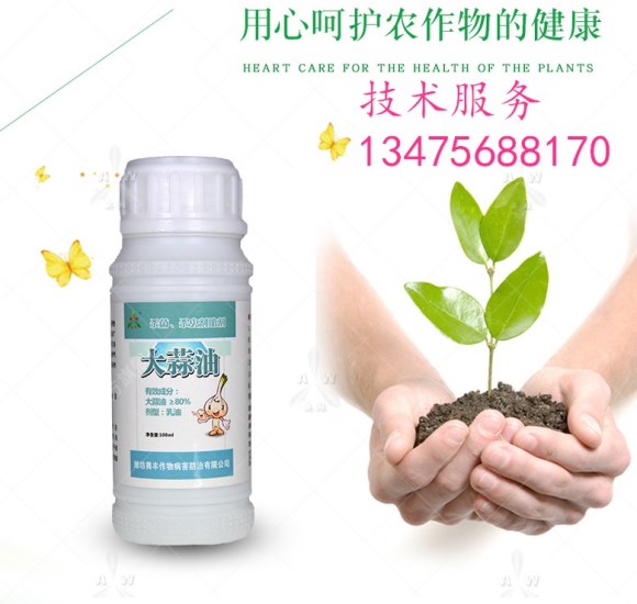 柑橘青苔用什么药清除效果最好