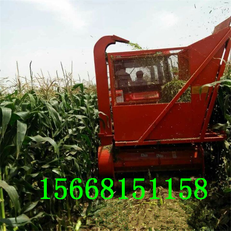 1524808962918157.jpg