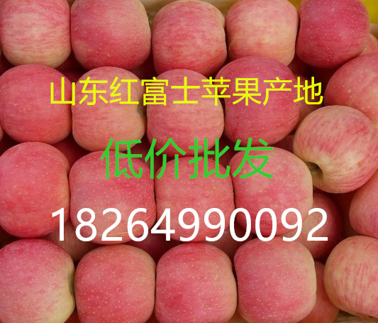 【哪里苹果好吃价格最便宜今日红富士苹果价格