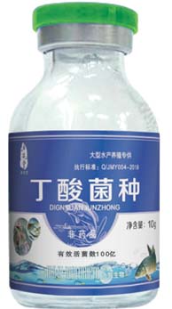 水产药水产丁酸梭菌种