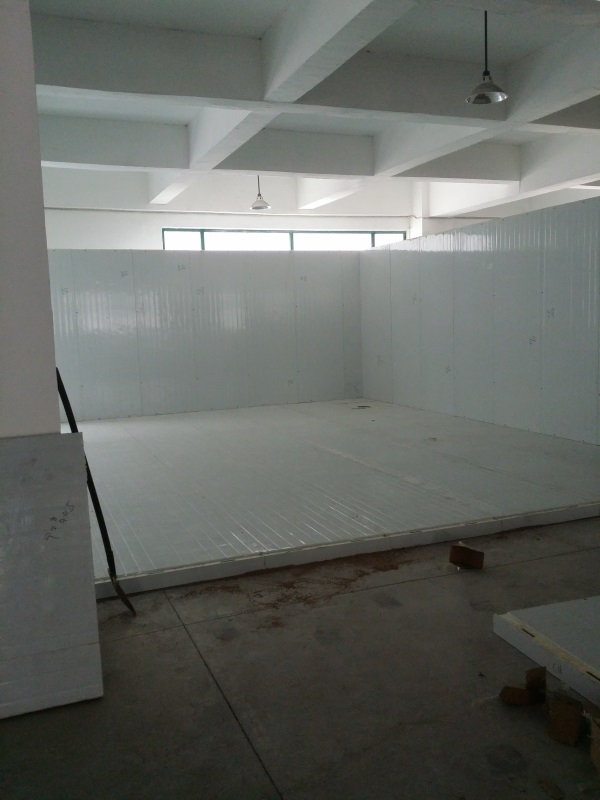 20161113_120949.jpg