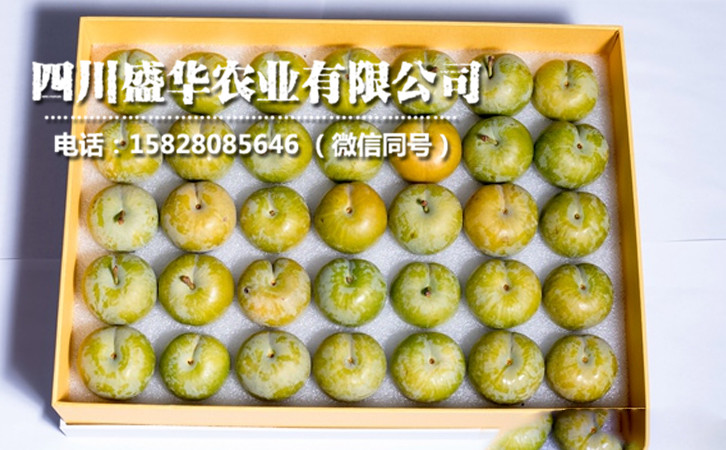 蜂糖李14.jpg
