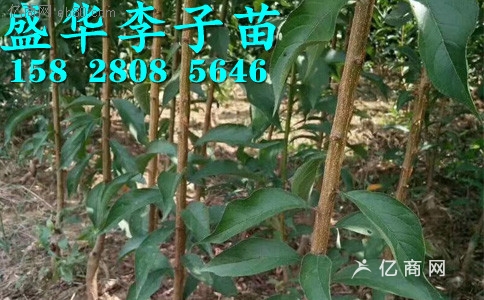 212