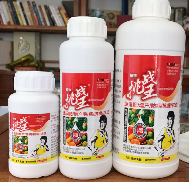 挑戰(zhàn)王.png