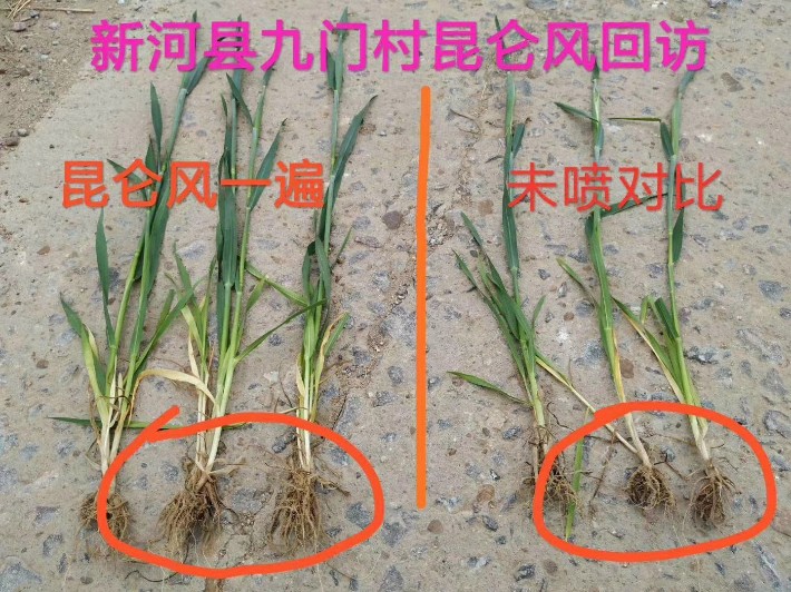 圖片_26.jpg