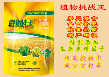 1-1PH21511280-L.jpg