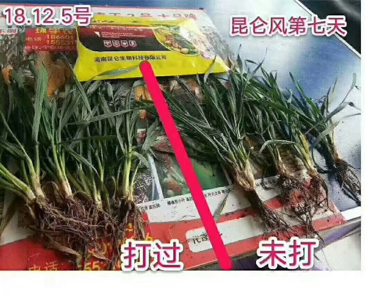 昆侖風(fēng)反饋12.jpg
