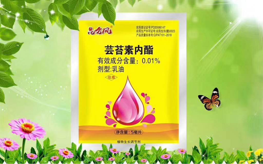 蕓苔素內脂1.jpg