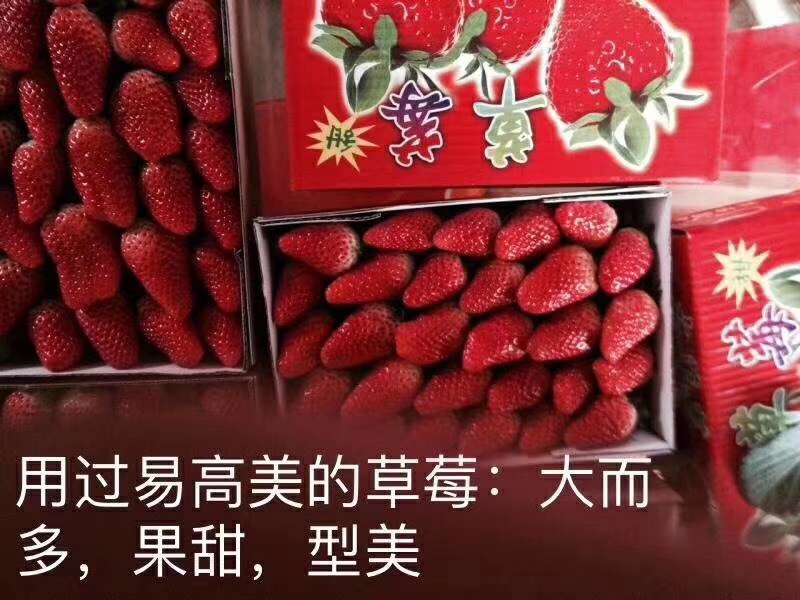 易高美反饋.jpg
