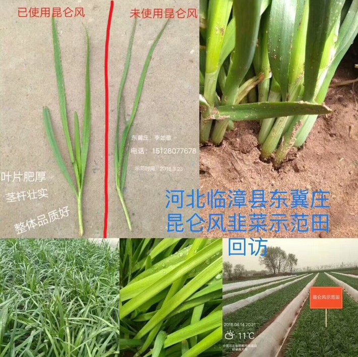 昆侖風(fēng)反饋11.jpg
