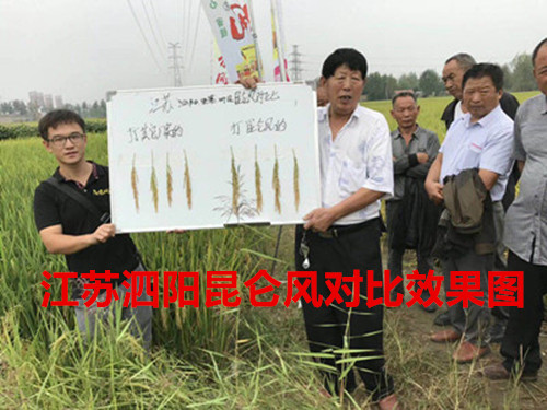 圖片_200.jpg