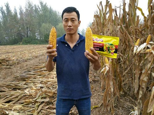 圖片_206.jpg