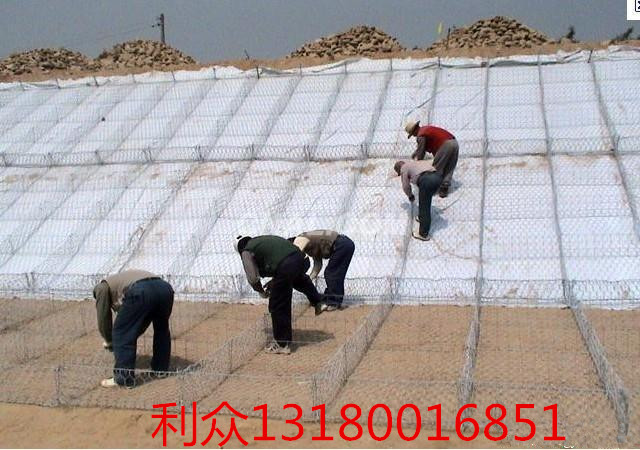 501c2209774e2172_副本.jpg