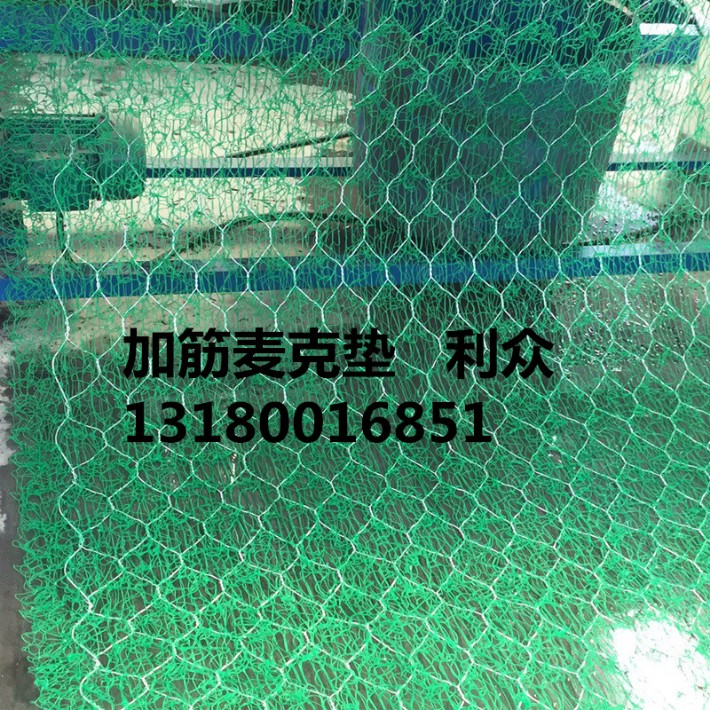 3967931105_1000621134.jpg