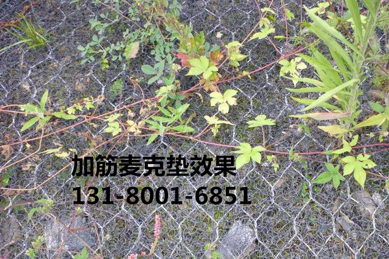 wKhQiFUYqJyEHpO1AAAAAN135js127.jpg