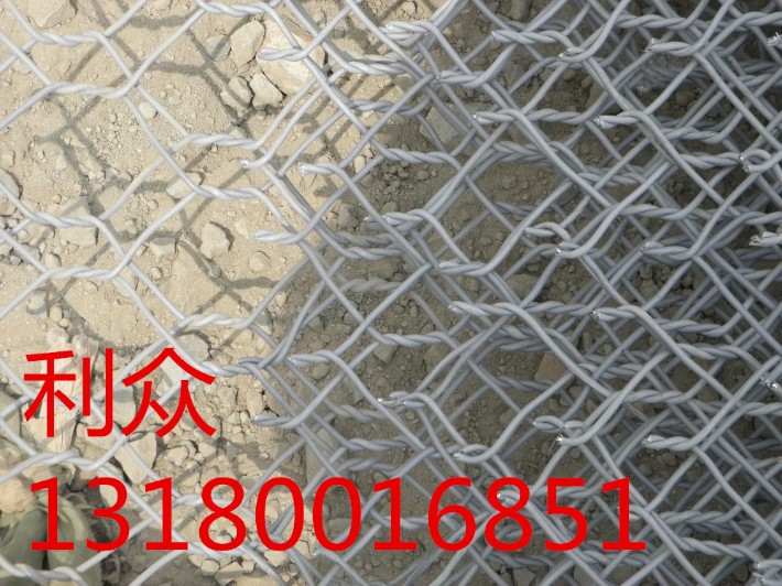 1248022065008_副本.jpg