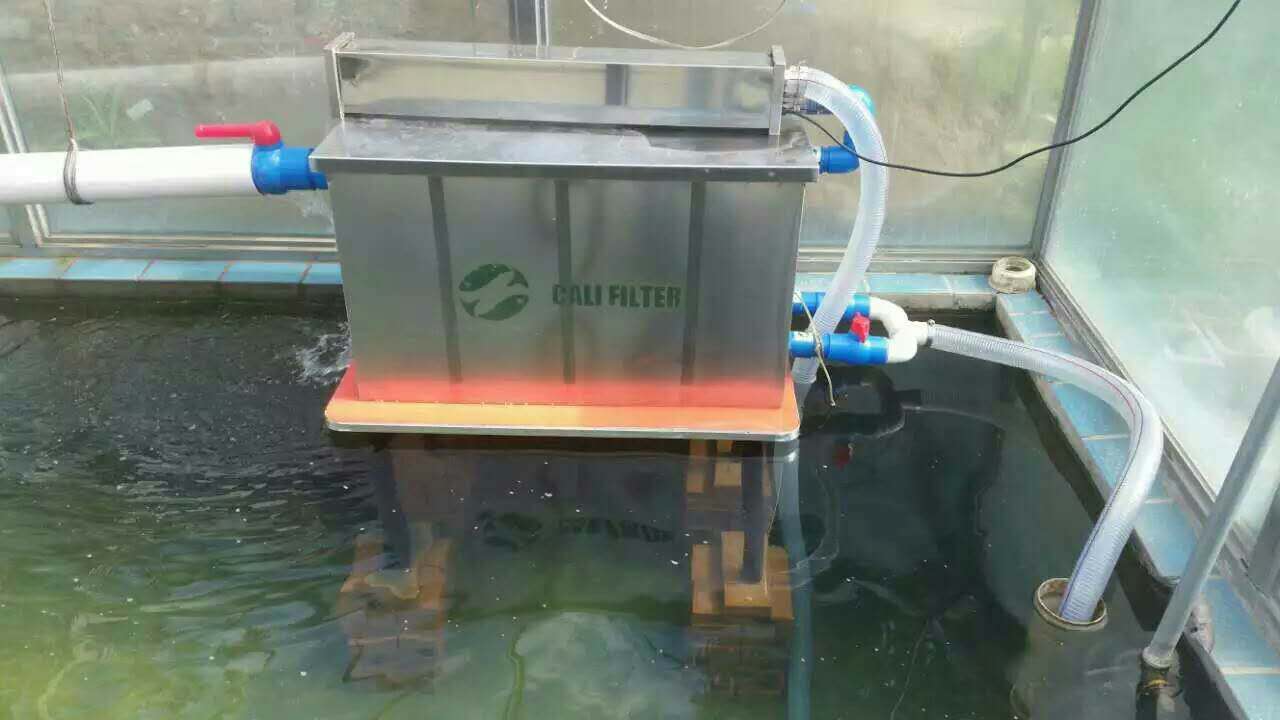 8297836.jpg
