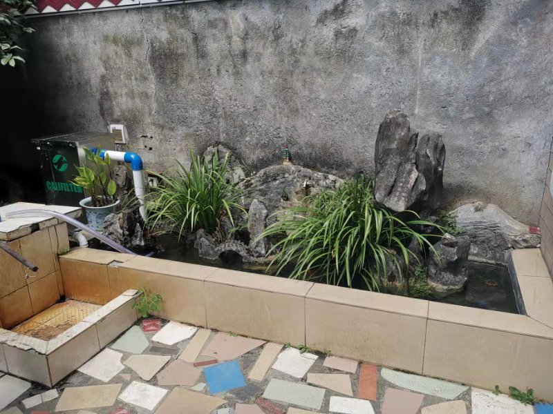 圖片_27.jpg