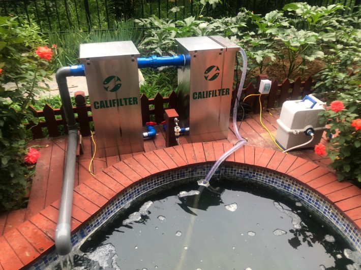 台山假山鱼池水循环卡利净鱼池过滤器