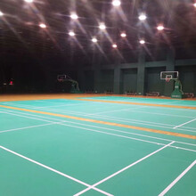 羽毛球运动地板规格乒乓球室地板颜色图片