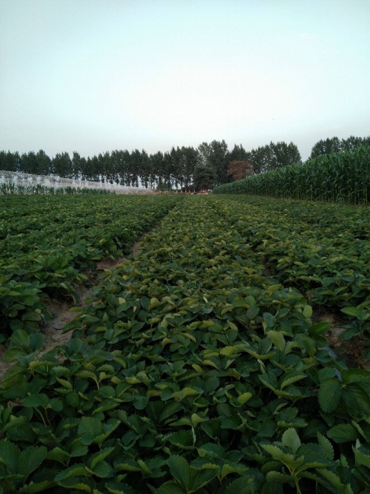 2345_image_file_copy_1.jpg