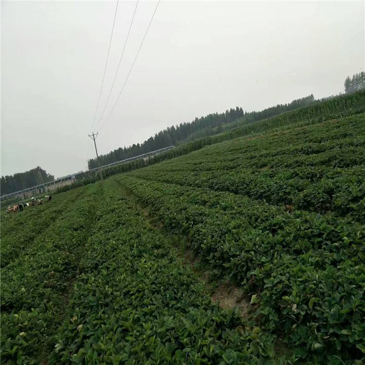 2345_image_file_copy_220.jpg
