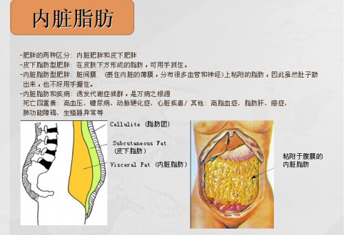 免费发布美容美发器信息  ret-10000 高频内脏减肥仪则采用了比现有