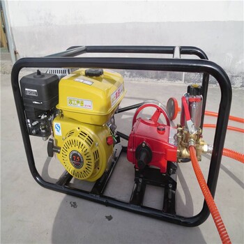 高压拉管喷药机容量200升喷雾器拉管玉米喷雾器